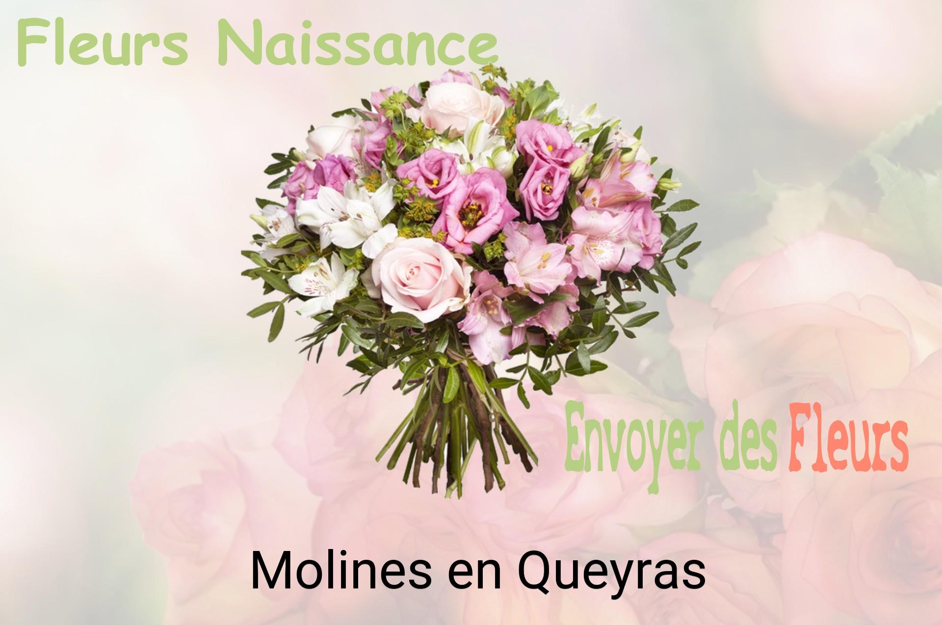 Bouquet de fleurs de naissance livré à Molines-en-Queyras